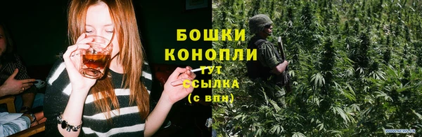 крисы Аркадак